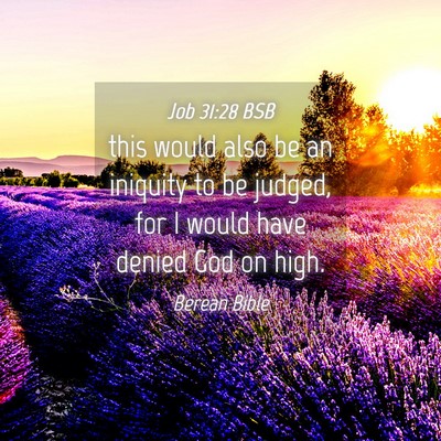 Picture 04 - Job 31:28 BSB - this would also be an iniquity to be judged, for - Bible Verse Picture