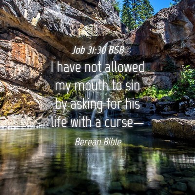 Picture 04 - Job 31:30 BSB - I have not allowed my mouth to sin by asking for - Bible Verse Picture