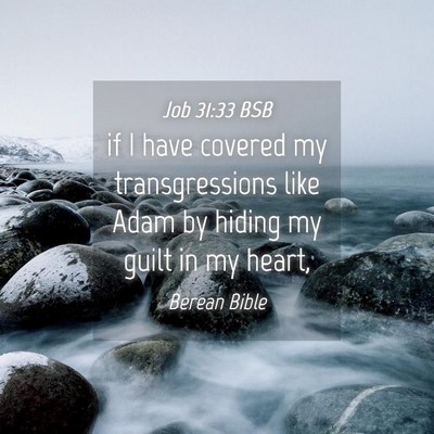 Picture 04 - Job 31:33 BSB - if I have covered my transgressions like Adam by - Bible Verse Picture