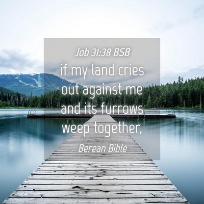 Picture 04 - Job 31:38 BSB - if my land cries out against me and its furrows - Bible Verse Picture