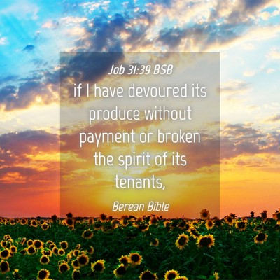 Picture 04 - Job 31:39 BSB - if I have devoured its produce without payment or - Bible Verse Picture