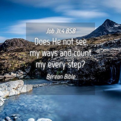 Picture 04 - Job 31:4 BSB - Does He not see my ways and count my every - Bible Verse Picture