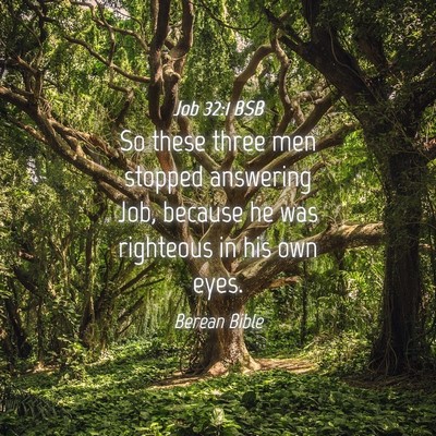 Picture 04 - Job 32:1 BSB - So these three men stopped answering Job, because - Bible Verse Picture