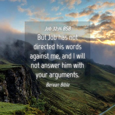 Picture 04 - Job 32:14 BSB - But Job has not directed his words against me, - Bible Verse Picture