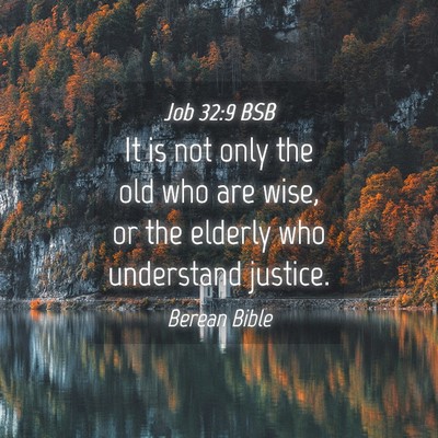 Picture 04 - Job 32:9 BSB - It is not only the old who are wise, or the - Bible Verse Picture