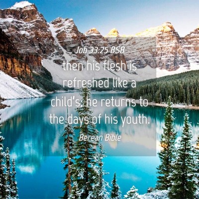 Picture 04 - Job 33:25 BSB - then his flesh is refreshed like a child’s; he - Bible Verse Picture