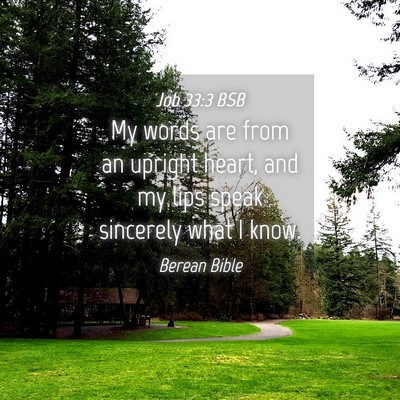 Picture 04 - Job 33:3 BSB - My words are from an upright heart, and my lips - Bible Verse Picture