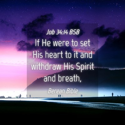 Picture 04 - Job 34:14 BSB - If He were to set His heart to it and withdraw - Bible Verse Picture