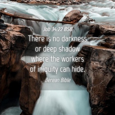Picture 04 - Job 34:22 BSB - There is no darkness or deep shadow where the - Bible Verse Picture