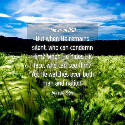 Picture 04 - Job 34:29 BSB - But when He remains silent, who can condemn Him? - Bible Verse Picture