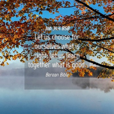 Picture 04 - Job 34:4 BSB - Let us choose for ourselves what is right; let us - Bible Verse Picture