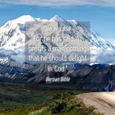 Picture 04 - Job 34:9 BSB - For he has said, ‘It profits a man nothing that - Bible Verse Picture