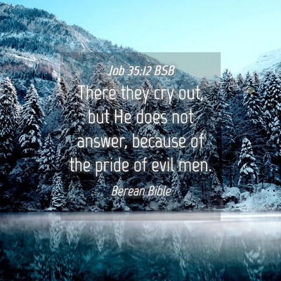 Picture 04 - Job 35:12 BSB - There they cry out, but He does not answer, - Bible Verse Picture