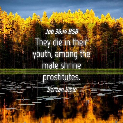 Picture 04 - Job 36:14 BSB - They die in their youth, among the male shrine - Bible Verse Picture