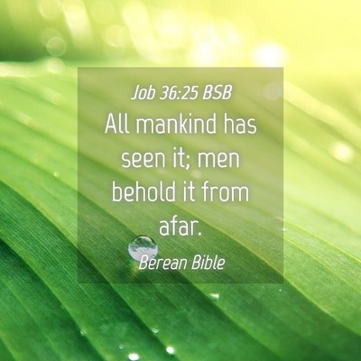 Picture 04 - Job 36:25 BSB - All mankind has seen it; men behold it from - Bible Verse Picture