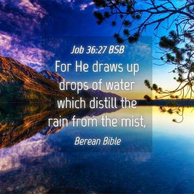 Picture 04 - Job 36:27 BSB - For He draws up drops of water which distill the - Bible Verse Picture