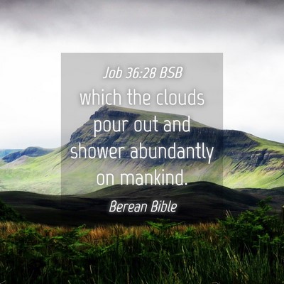Picture 04 - Job 36:28 BSB - which the clouds pour out and shower abundantly - Bible Verse Picture