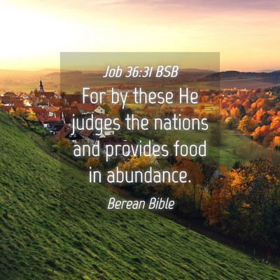Picture 04 - Job 36:31 BSB - For by these He judges the nations and provides - Bible Verse Picture