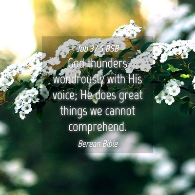 Picture 04 - Job 37:5 BSB - God thunders wondrously with His voice; He does - Bible Verse Picture