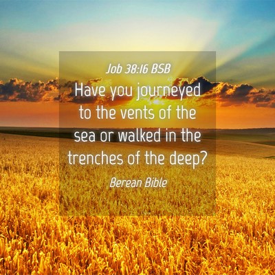 Picture 04 - Job 38:16 BSB - Have you journeyed to the vents of the sea or - Bible Verse Picture