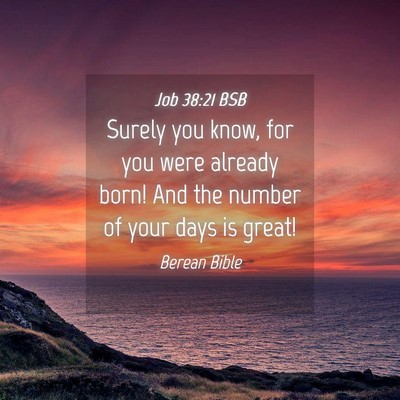 Picture 04 - Job 38:21 BSB - Surely you know, for you were already born! And - Bible Verse Picture