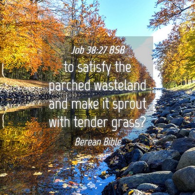 Picture 04 - Job 38:27 BSB - to satisfy the parched wasteland and make it - Bible Verse Picture