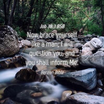 Picture 04 - Job 38:3 BSB - Now brace yourself like a man; I will question - Bible Verse Picture