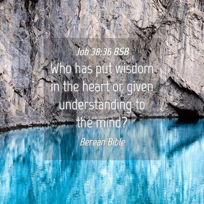 Picture 04 - Job 38:36 BSB - Who has put wisdom in the heart or given - Bible Verse Picture