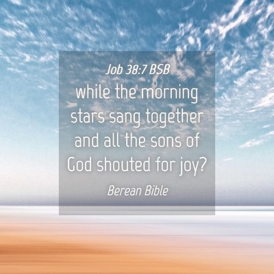 Picture 04 - Job 38:7 BSB - while the morning stars sang together and all the - Bible Verse Picture