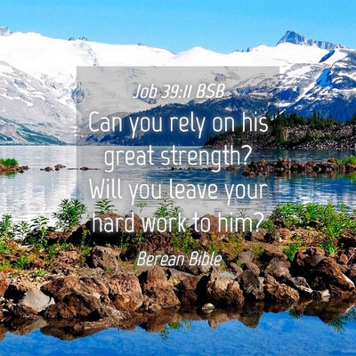 Picture 04 - Job 39:11 BSB - Can you rely on his great strength? Will you - Bible Verse Picture