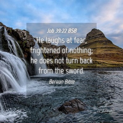 Picture 04 - Job 39:22 BSB - He laughs at fear, frightened of nothing; he does - Bible Verse Picture