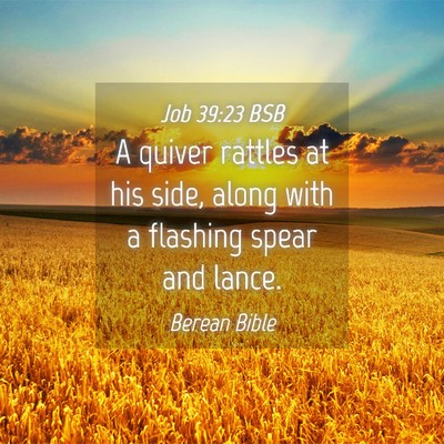 Picture 04 - Job 39:23 BSB - A quiver rattles at his side, along with a - Bible Verse Picture