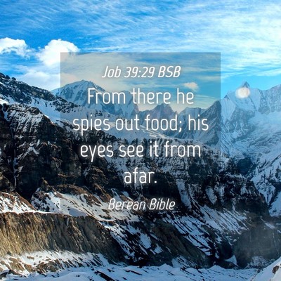 Picture 04 - Job 39:29 BSB - From there he spies out food; his eyes see it - Bible Verse Picture