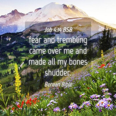 Picture 04 - Job 4:14 BSB - fear and trembling came over me and made all my - Bible Verse Picture