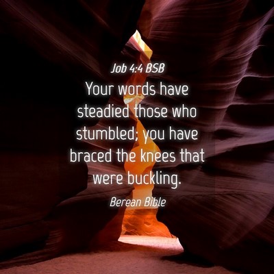 Picture 04 - Job 4:4 BSB - Your words have steadied those who stumbled; you - Bible Verse Picture