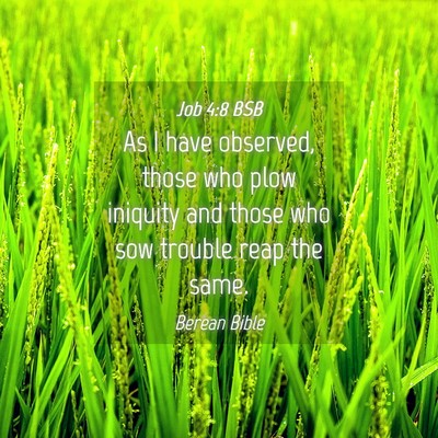 Picture 04 - Job 4:8 BSB - As I have observed, those who plow iniquity and - Bible Verse Picture