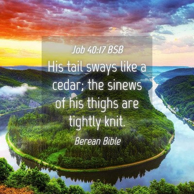 Picture 04 - Job 40:17 BSB - His tail sways like a cedar; the sinews of his - Bible Verse Picture