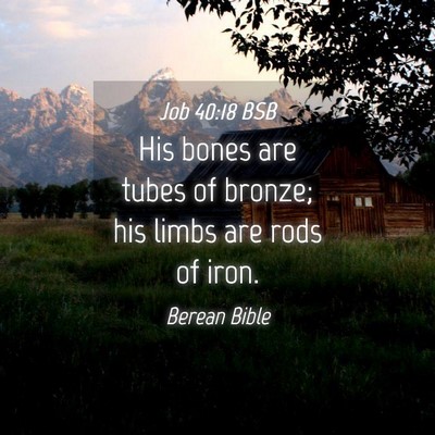 Picture 04 - Job 40:18 BSB - His bones are tubes of bronze; his limbs are rods - Bible Verse Picture