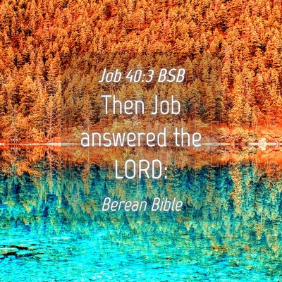 Picture 04 - Job 40:3 BSB - Then Job answered the - Bible Verse Picture