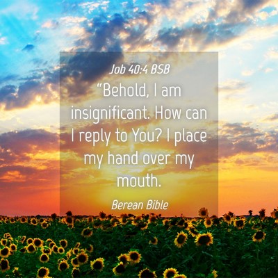 Picture 04 - Job 40:4 BSB - “Behold, I am insignificant. How can I reply to - Bible Verse Picture