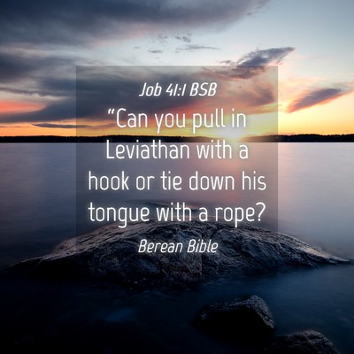 Picture 04 - Job 41:1 BSB - “Can you pull in Leviathan with a hook or tie - Bible Verse Picture