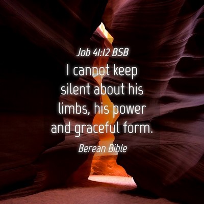 Picture 04 - Job 41:12 BSB - I cannot keep silent about his limbs, his power - Bible Verse Picture