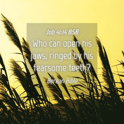 Picture 04 - Job 41:14 BSB - Who can open his jaws, ringed by his fearsome - Bible Verse Picture