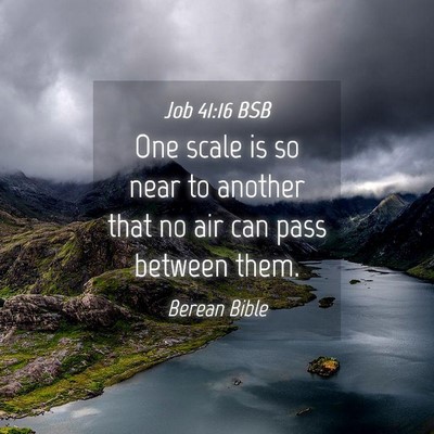 Picture 04 - Job 41:16 BSB - One scale is so near to another that no air can - Bible Verse Picture