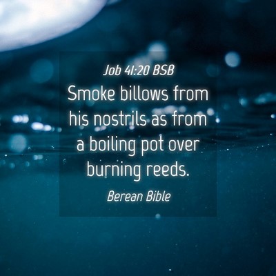Picture 04 - Job 41:20 BSB - Smoke billows from his nostrils as from a boiling - Bible Verse Picture