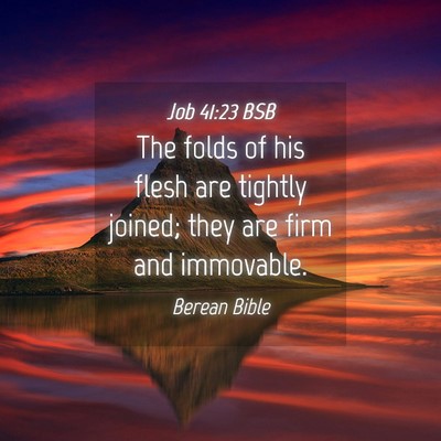 Picture 04 - Job 41:23 BSB - The folds of his flesh are tightly joined; they - Bible Verse Picture
