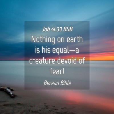 Picture 04 - Job 41:33 BSB - Nothing on earth is his equal—a creature devoid - Bible Verse Picture