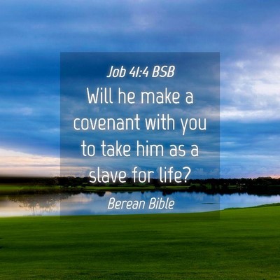 Picture 04 - Job 41:4 BSB - Will he make a covenant with you to take him as a - Bible Verse Picture