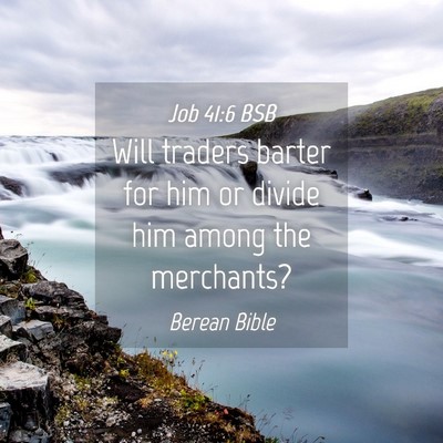 Picture 04 - Job 41:6 BSB - Will traders barter for him or divide him among - Bible Verse Picture