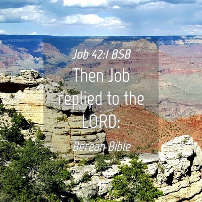 Picture 04 - Job 42:1 BSB - Then Job replied to the - Bible Verse Picture